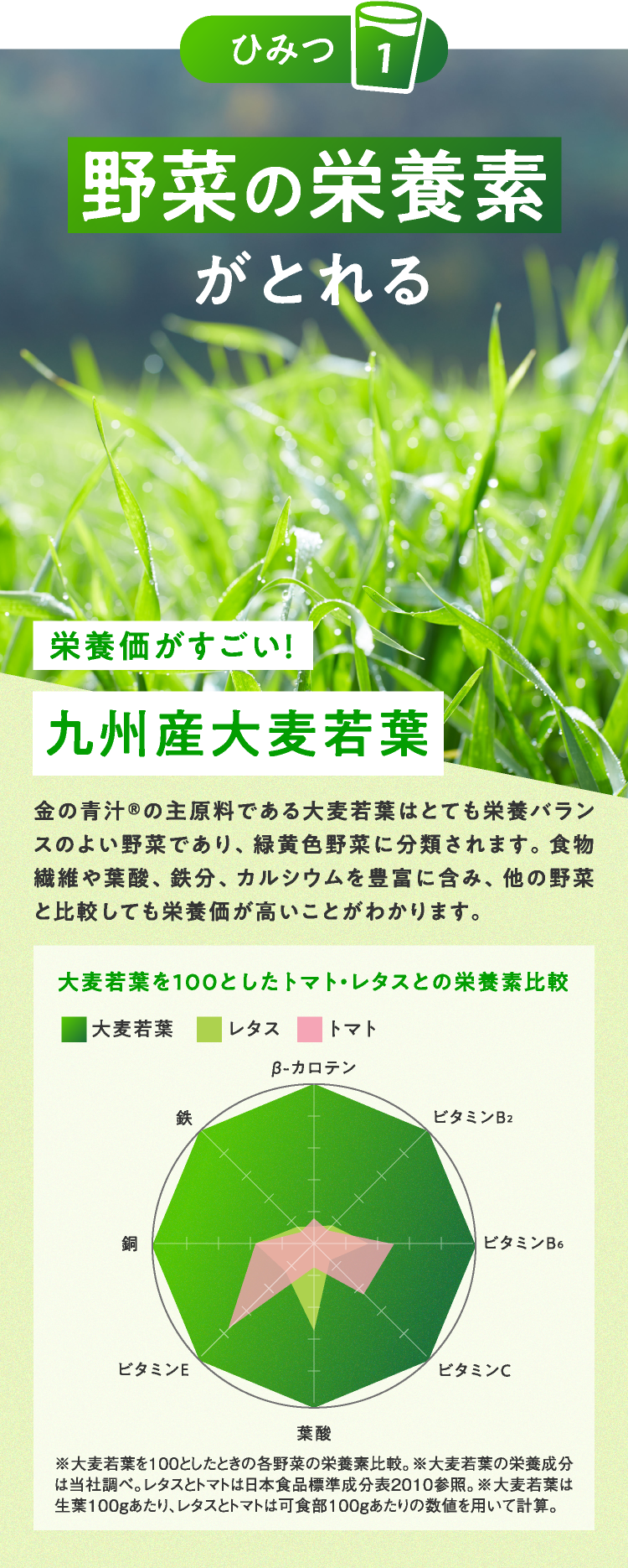 ひみつ１　野菜の栄養素がとれる