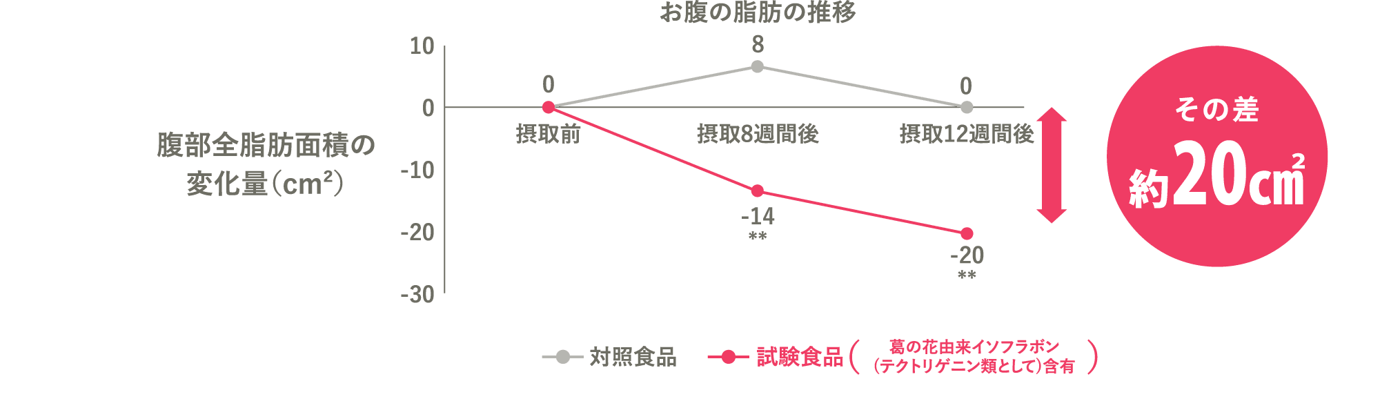 お腹の脂肪(内臓脂肪・皮下脂肪)