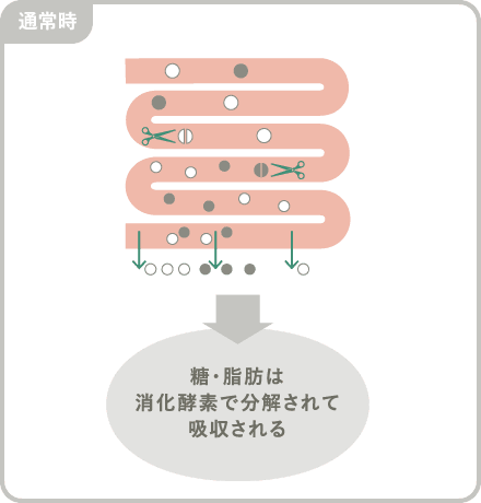 セイタカミロバラン果実由来没食子酸がない場合