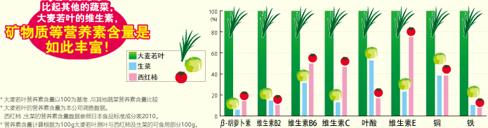 与西红柿，生菜的营养含量比较