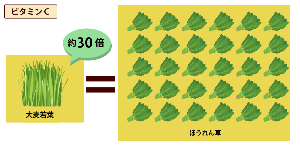 ビタミンCはほうれん草の30倍？！