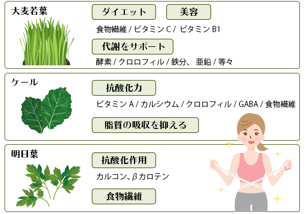 「大麦若葉」「ケール」「明日葉」の栄養素を比較！