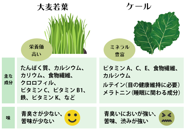 大麦若葉とケール、結局どっちが栄養豊富？