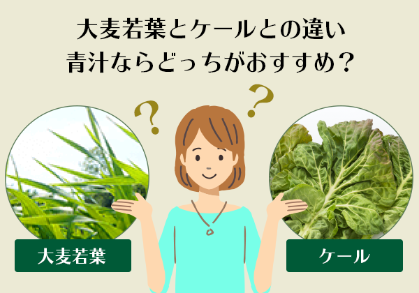 大麦若葉とケールとの違い、青汁ならどっちがおすすめ？