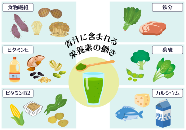 青汁に含まれる栄養素の働き