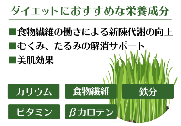 ダイエットにおすすめな栄養成分