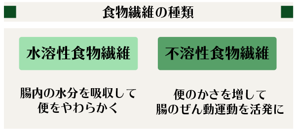 食物繊維には2種類ある!食物繊維の基礎知識