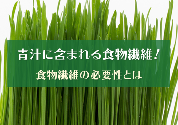 青汁に含まれる食物繊維!食物繊維の必要性とは