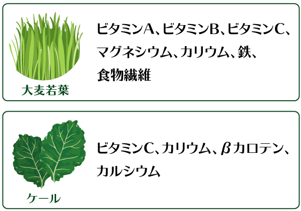 青汁に含まれる栄養成分とは？