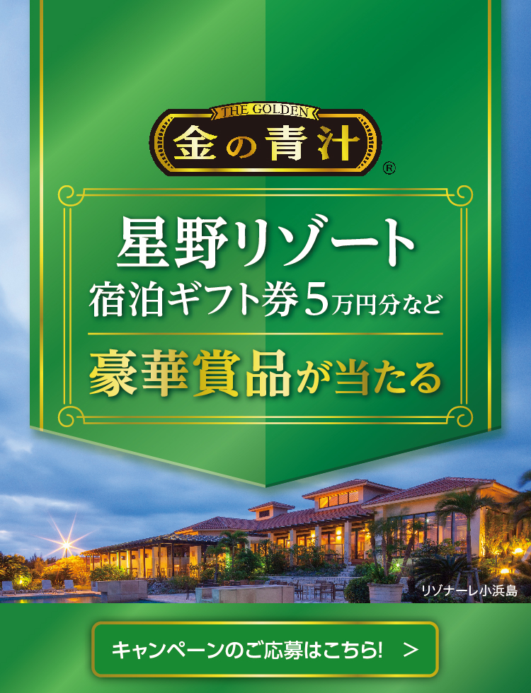 青汁なら大麦若葉100%粉末の金の青汁【日本薬健】
