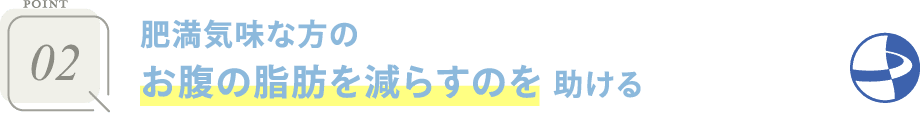 POINT02 肥満気味な方のお腹の脂肪を減らすのを助ける