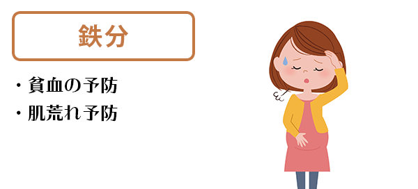 鉄分