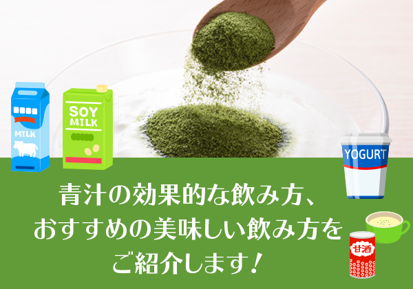 青汁の効果的な飲み方 おすすめの美味しい飲み方をご紹介します 金の青汁 純国産大麦若葉100 粉末 日本薬健