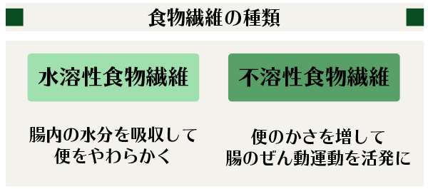 青汁で補給できる食物繊維の働き