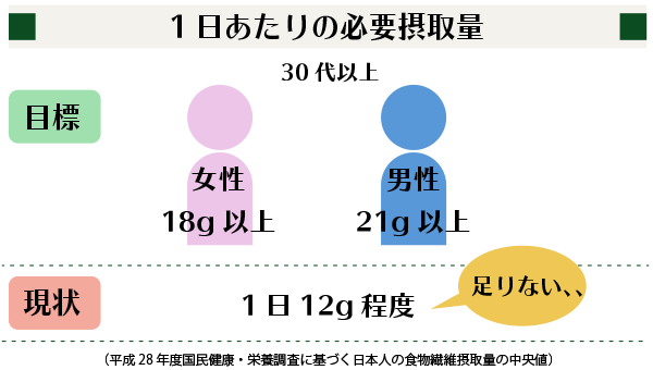 1日あたりの食物繊維の推奨量