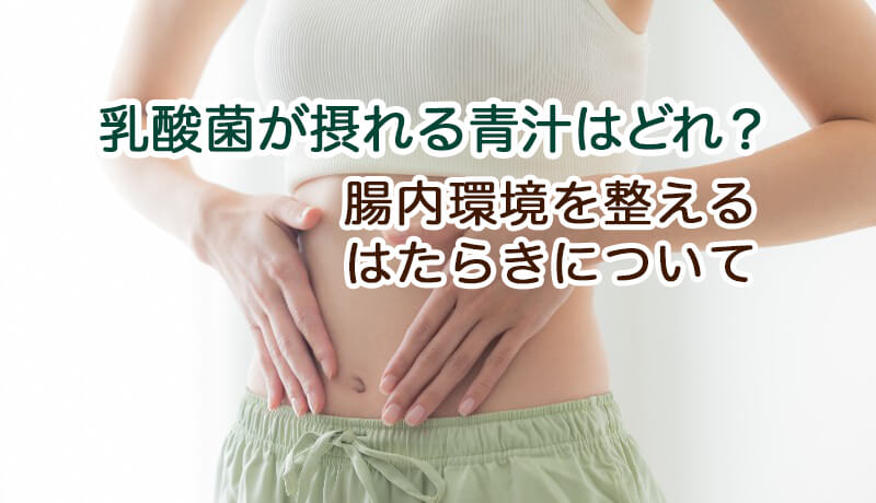 乳酸菌が摂れる青汁はどれ？腸内環境を整えるはたらきについて