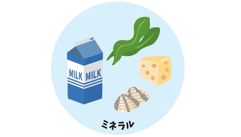 ミネラルの多い食べ物・飲み物一覧