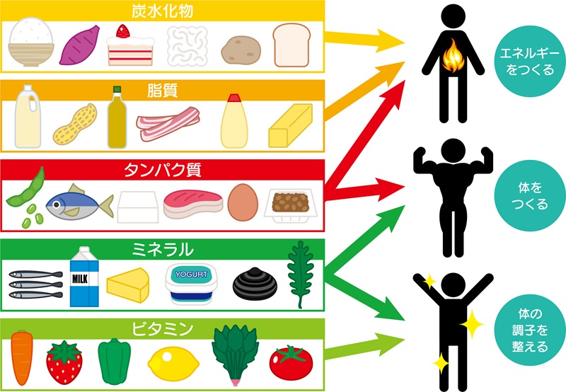 ミネラルはなぜ必要?