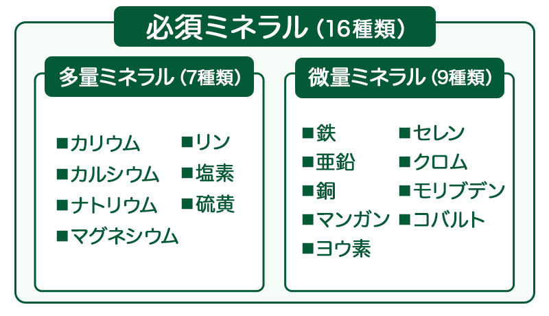 ミネラルの種類一覧