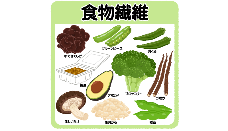 食物繊維ってどんな栄養素?