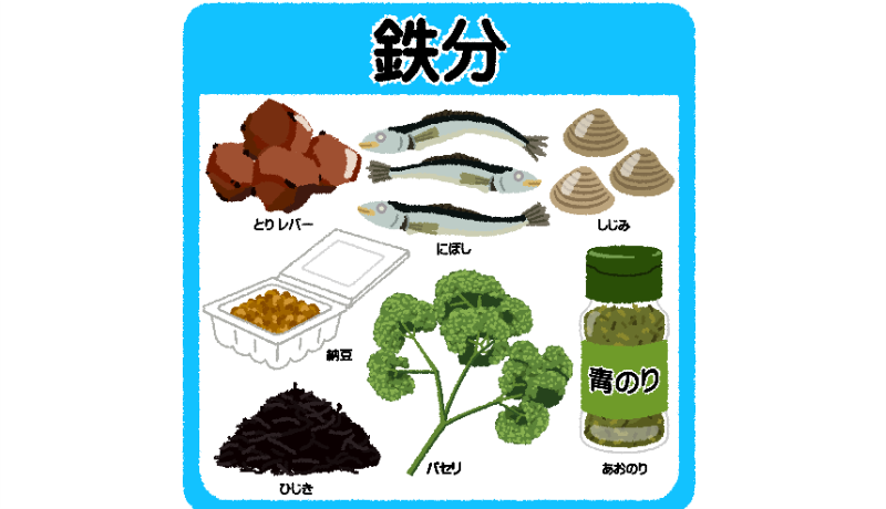 鉄ってどんな栄養素?