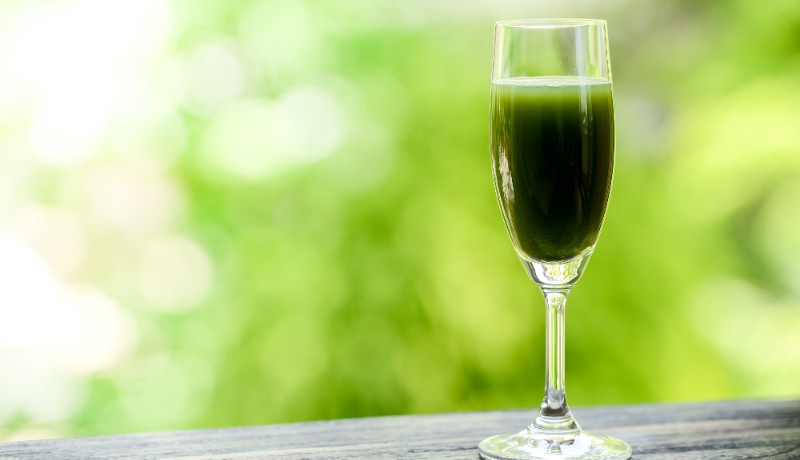 酵素とは？主な4つの働き